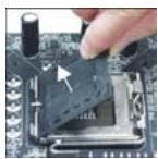 MSI 945GCM5 V2 - LGA 775 CPU 10 - 1