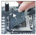 MSI 945GCM5 V2 - Introduction du LGA 775 CPU: - 1