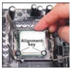 MSI 945GCM5 V2 - 安装 LGA 775 CPU - 3