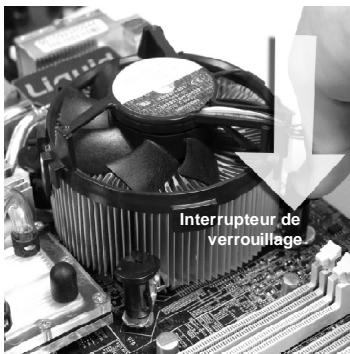 MSI G52-73921XK - Important - 7