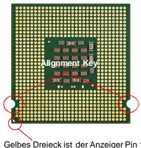 MSI G52-73921XK - Erklärung zur LGA 775 CPU - 1