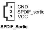 MSI G52-73951X7 - Connecteur sortie SPDIF - 1