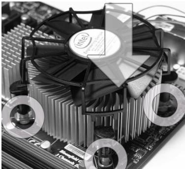 MSI G52-75221XI - CPU &amp; Cooler Installation - 8