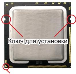 MSI G52-75221XI - YctaHOBka npoceccopa LGA 1366 - 2