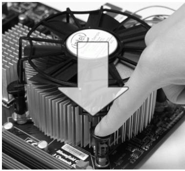 MSI G52-75221XI - Wichtig - 1