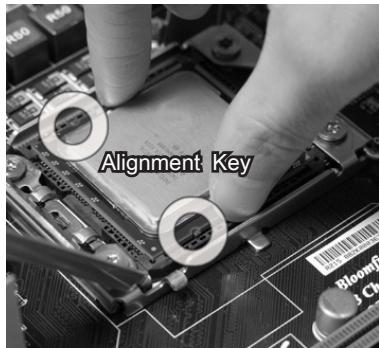 MSI G52-75221XI - CPU &amp; Cooler Installation - 4
