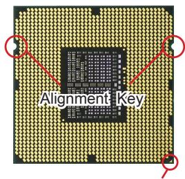 MSI MS-7666 G52-76661X2 - Introduction to LGA 1366 CPU - 1