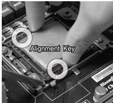 MSI MS-7666 G52-76661X2 - CPU & Cooler Installation - 4