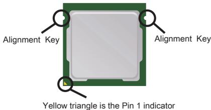MSI B75MA-E31 - Introduction to the LGA 1155 CPU - 1