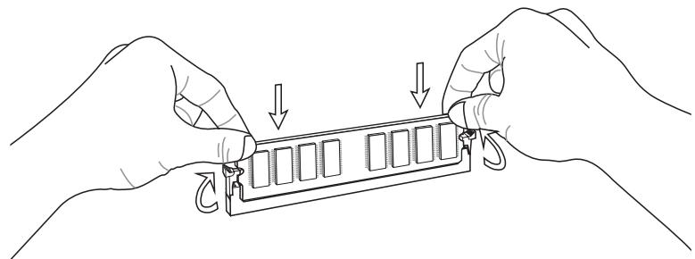 MSI H77MA-G43 - Installing Memory Modules - 3