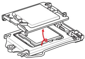 MSI H81M-E33 - Important - 2