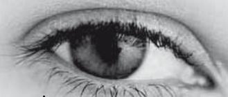 METRONIC TERMINAL DEDIE A LOFFRE DE SERVICE TNTSAT 441630 - Réinitialisation du terminal - 2