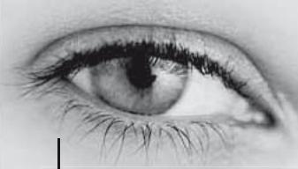 METRONIC TERMINAL DEDIE A LOFFRE DE SERVICE TNTSAT 441630 - Attention : - 1