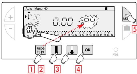 FLASH KIT THERMO DIGI 24 HF - Zusammenstellung eines Programms P4 - 1