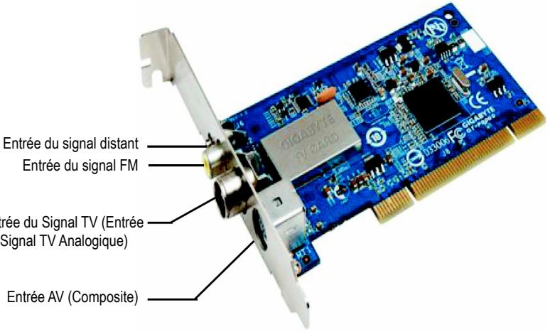 GIGABYTE GT-P6000 - Branchement du périphérique - 1