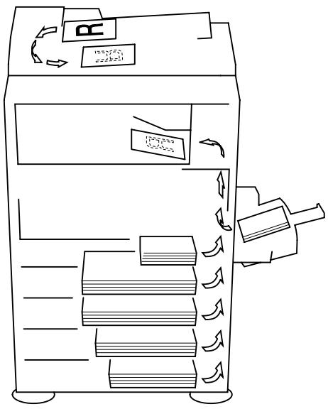 KONICA MINOLTA DI2011 - Alimentation papier - 1