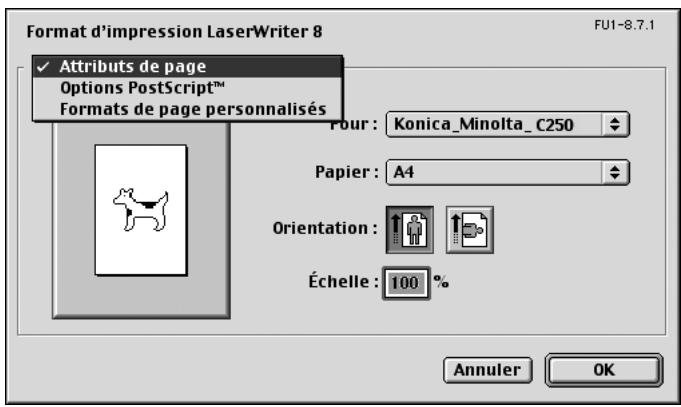 KONICA MINOLTA BIZHUB C250P - Format d'impression - 1