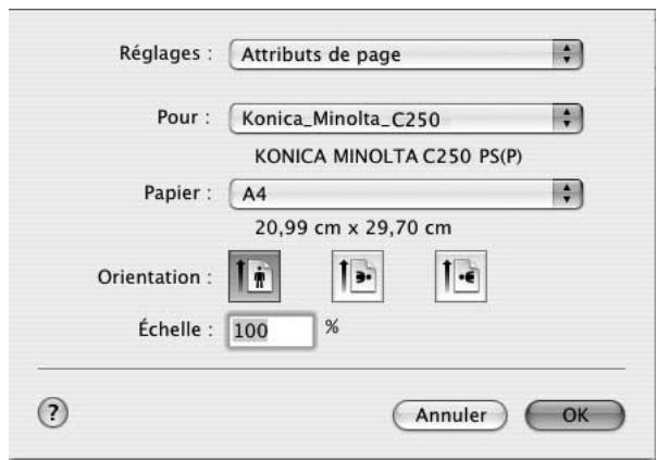 KONICA MINOLTA BIZHUB C250P - Format d'impression - 2