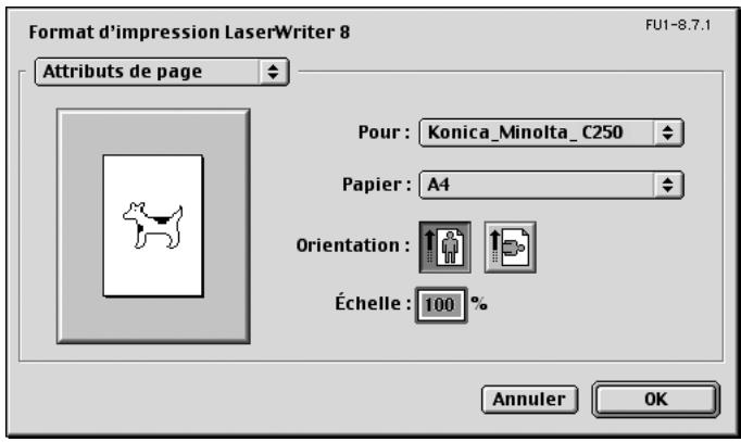 KONICA MINOLTA BIZHUB C250P - Boîte de dialogue format d'impression - 1