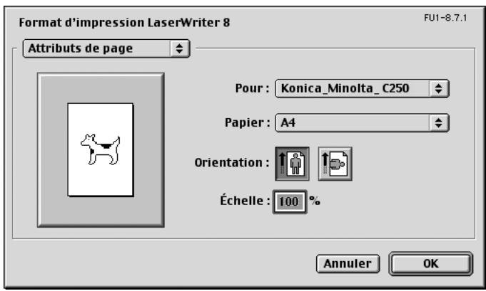 KONICA MINOLTA BIZHUB C250P - Format d'impression - 2