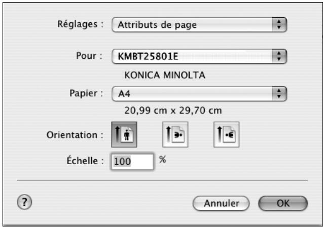 KONICA MINOLTA IC 204 CONTROLLER - Boîte de dialogue Format d'impression - 1