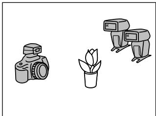 KONICA MINOLTA PROGRAM FLASH - Avec deux flashes (P48) - 1