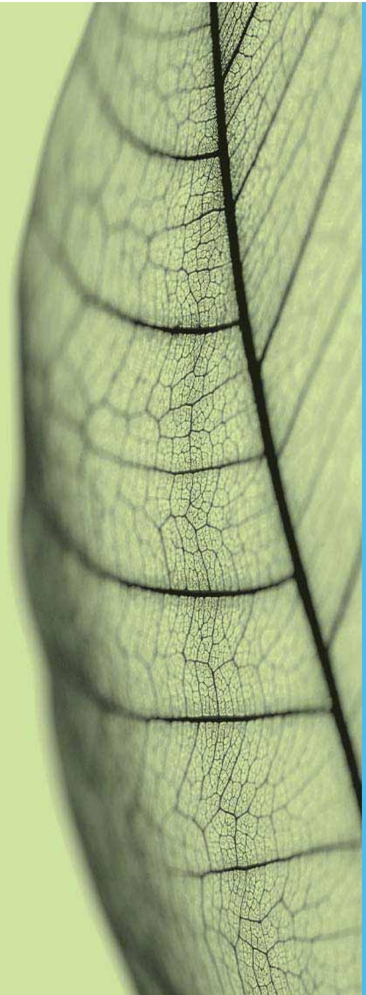 FORD FOCUS COUPE-CABRIOLET - Recycler pour de bon - 1