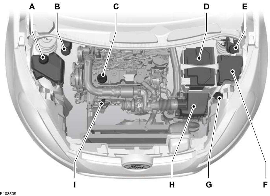 FORD FIESTA 2008 - VUE d'ensemble du compartiment moteur - 1.6l Duratorq-tdci (DV) DIESEL - 1