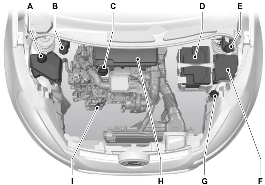 FORD FIESTA 2008 - VUE d'ensemble du compartiment moteur - 1.4l duratorq-tdci (DV) DIESEL - 1