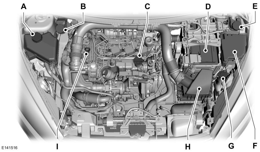 FORD FIESTA 2013 - VUE d'ensemble sous le CAPOT - 1.0l ecoboost - 1
