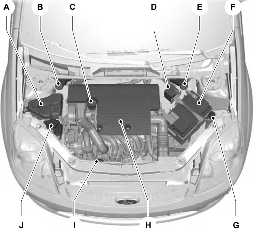 FORD FUSION 2011 - VUED'ENSEMBLE SOUS LECAPOT-1.25L DURATEC-16V (SIGMA) /1.4L DURATEC-16V (SIGMA) /1.6L DURATEC-16V (SIGMA) - 1