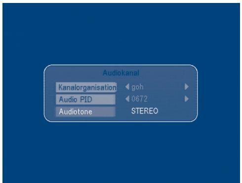 STRONG SRT 6015 - Wahl der Audio-Sprache - 1