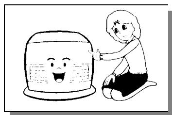 INVERTER TOSAINE PLUS - PRECAUTIONS SPECIALES - 7