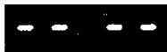 INVERTER 7712 - VERIFICATION PAR VOS SOINS - 12