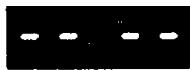 INVERTER 7712 - VERIFICATION PAR VOS SOINS - 10