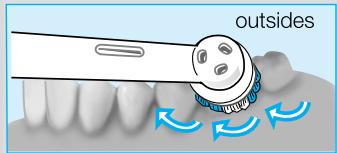 BRAUN ORALB PROFESSIONALCARE D17.525 - Filamentos INDICATOR® - 12