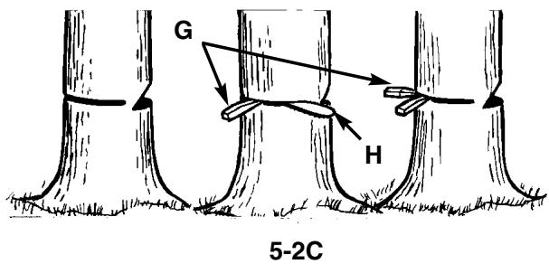 MCCULLOCH MCP1510 - WARNING - 1