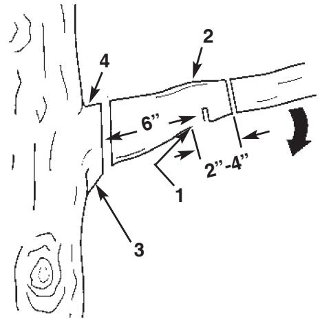 MCCULLOCH MCP1510 - ADVERTENCIA - 1