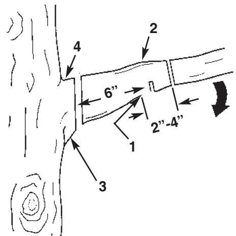 MCCULLOCH MCP1510 - 5-1. TRIMMING A TREE (PRUNING) WARNING - 1
