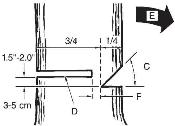 MCCULLOCH MCP1510 - ADVERTENCIA - 1