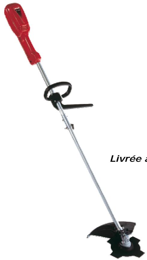 MTD EB 1000 - Confort - 3