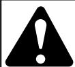 MTD 21A121R665 - SAFETYWARNINGS FOR GAS UNITS - 1