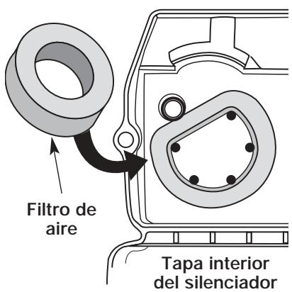 MTD TB20CS - Limpieza del Filtro de Aire - 1