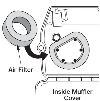 MTD TB20CS - Cleaning the Air Filter - 1