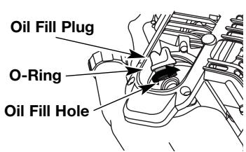 MTD TB525ET - CHECKING THE OIL LEVEL - 4