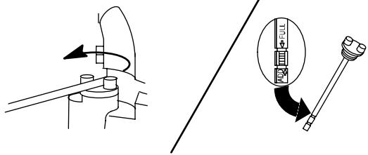 MTD 92988 - CHECKING AND ADDING OIL - 5