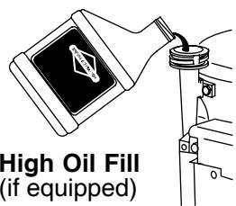 MTD 100700 - CHANGING OIL - 3