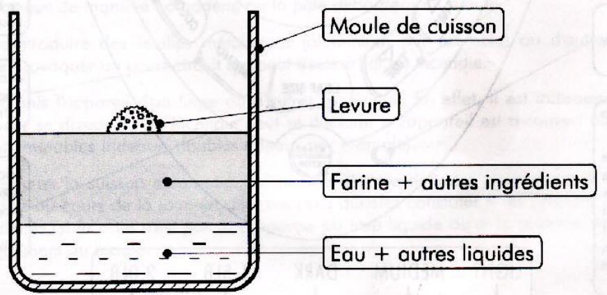 FAR XBM 838 - Comment utiliser votre machine à PAIN - 3
