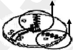 LISTO RBTL1 - Disque éminceur/rape réversible (4) - 1