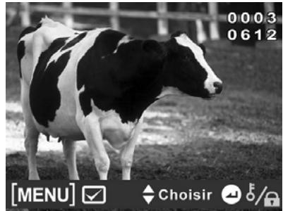 HITACHI DZHV582E - Protéger - 4